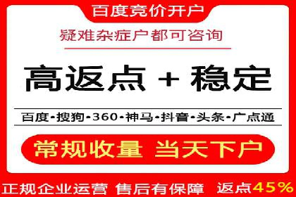 搜索引擎营销（SEM）成功案例详解
